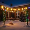 pineapple string light