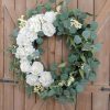 white peony flower