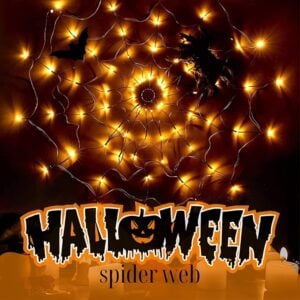 Halloween Spider Web Light