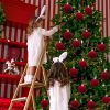 Velvet Flocked Christmas Ornaments