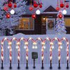 Candy Cane Light