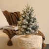 Room Christmas Decor
