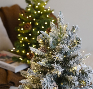 Christmas party gifts